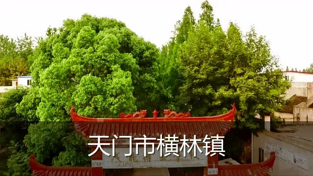 天门市横林镇