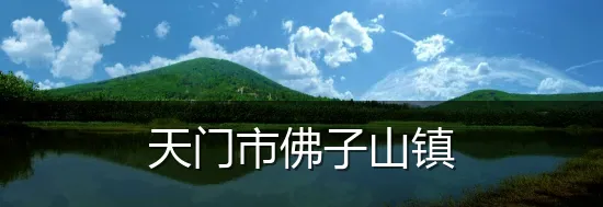天门市佛子山镇