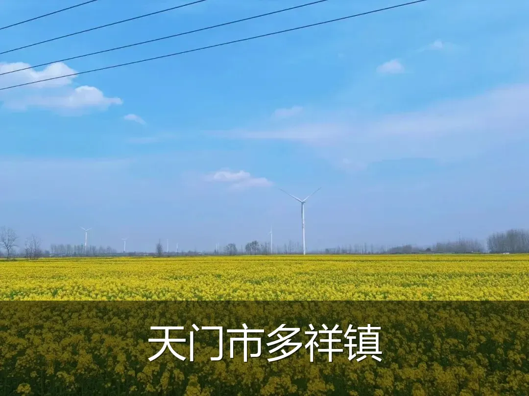 天门市多祥镇