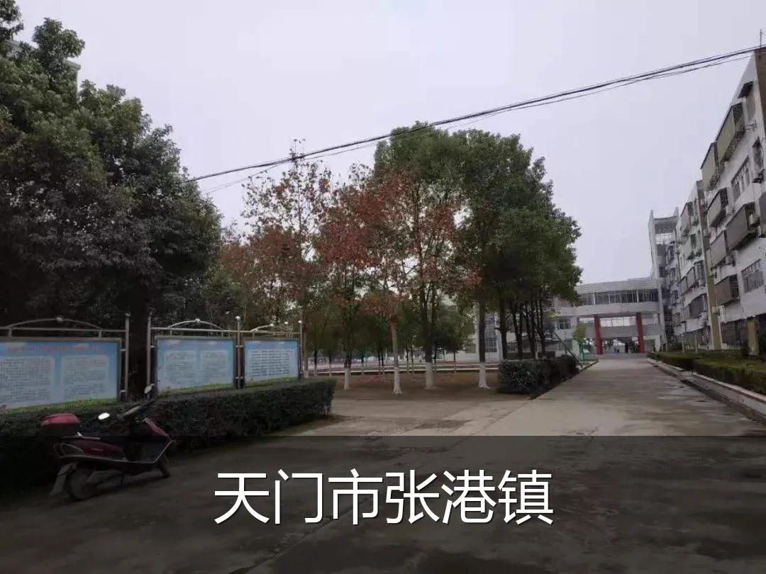 天门市张港镇
