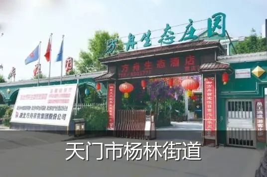 天门市杨林街道
