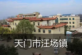 天门市汪场镇