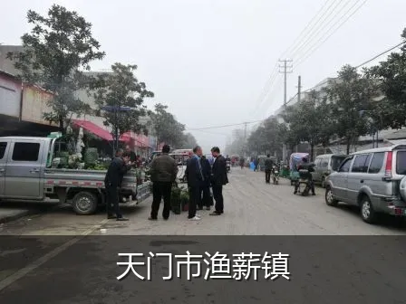 天门市渔薪镇