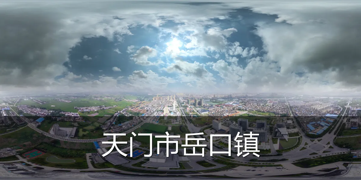 天门市岳口镇